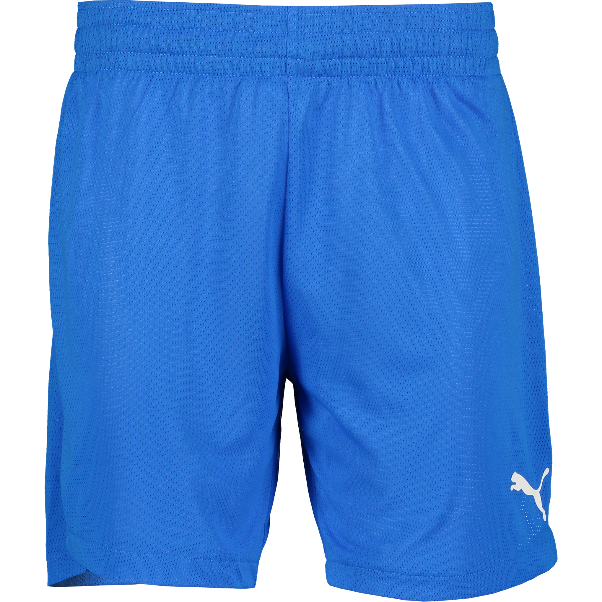 
PUMA, 
TEAMJAWS PRACTICE SHORTS JR, 
Detail 1
