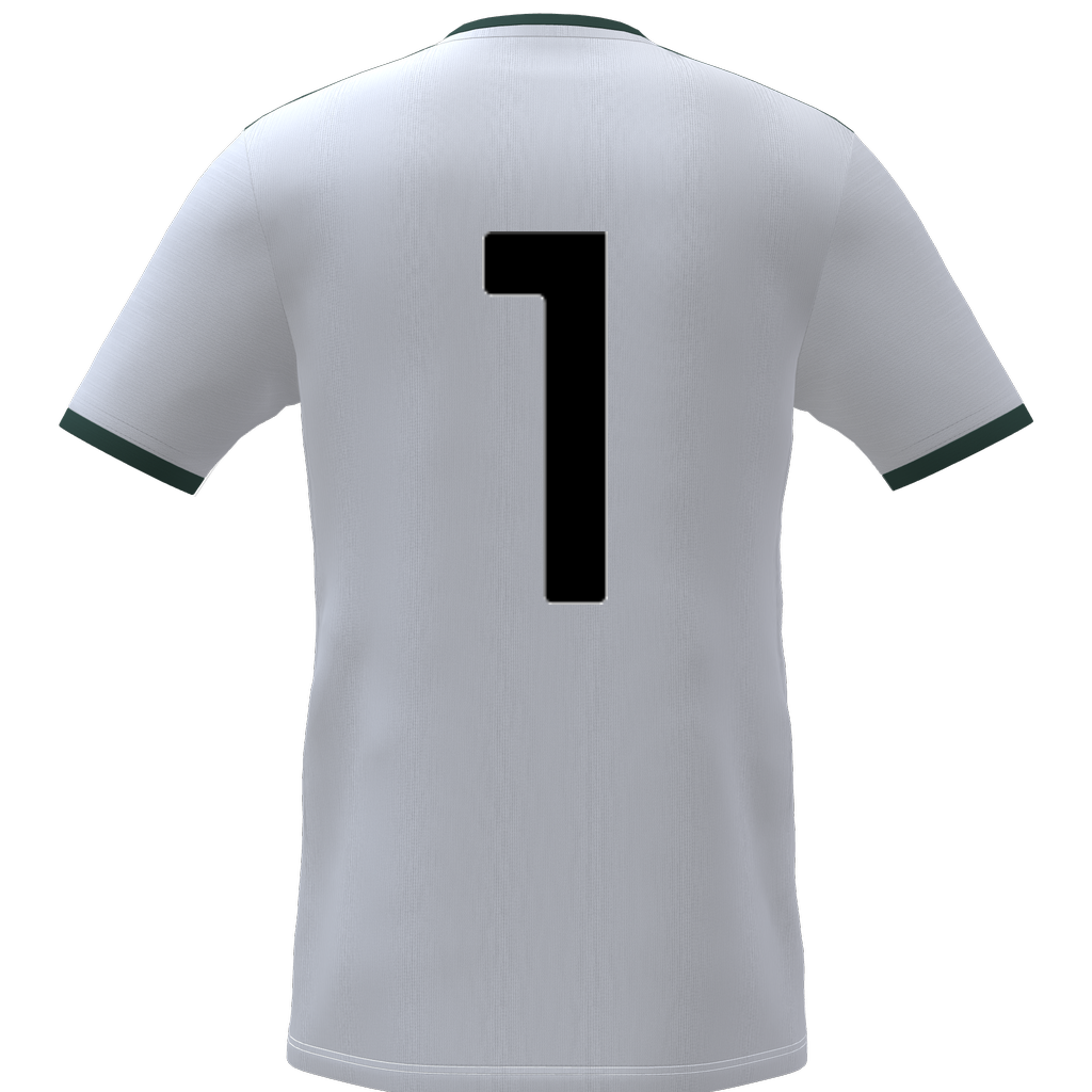 ADIDAS, CU ENT26 JSY JR