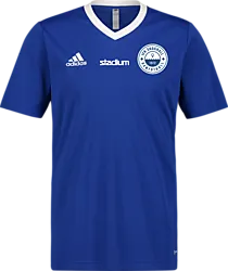 358914109101 ADIDAS Ent22 Jsy Tee 358914109101 ADIDAS Ent22 Jsy Tee Standard Small1x1