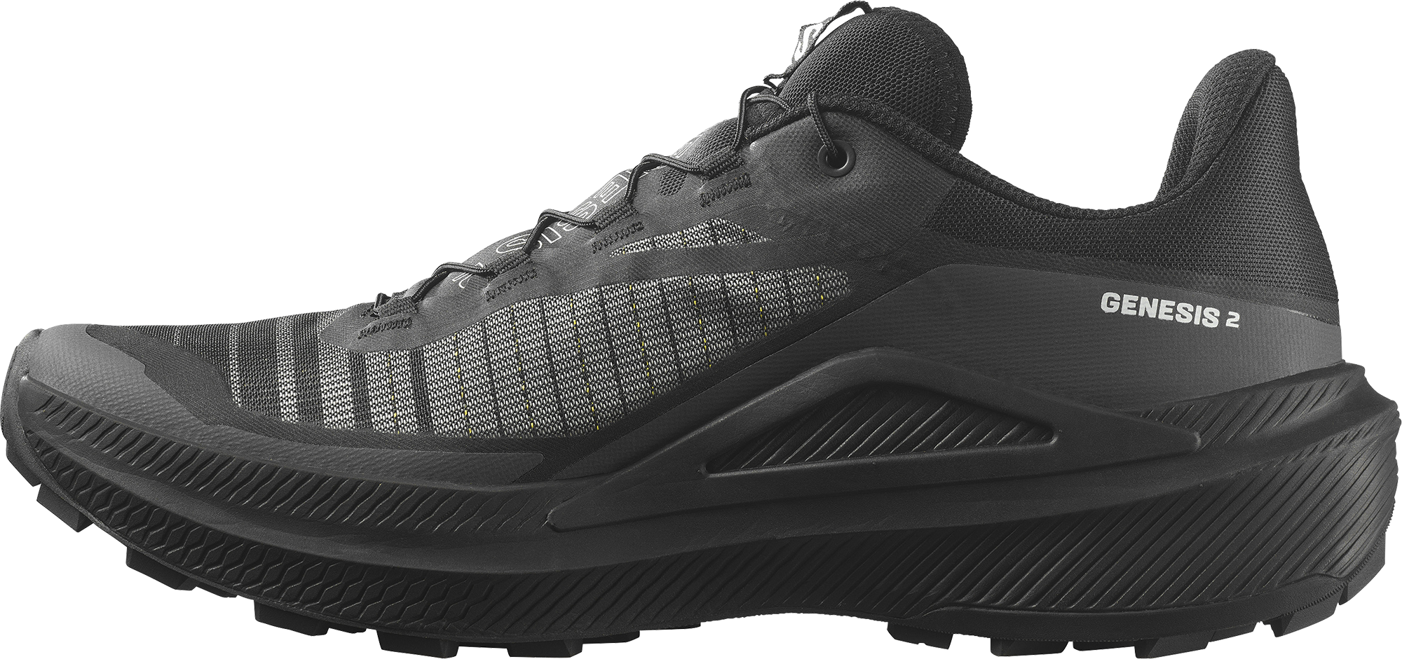 SALOMON, M GENESIS 2