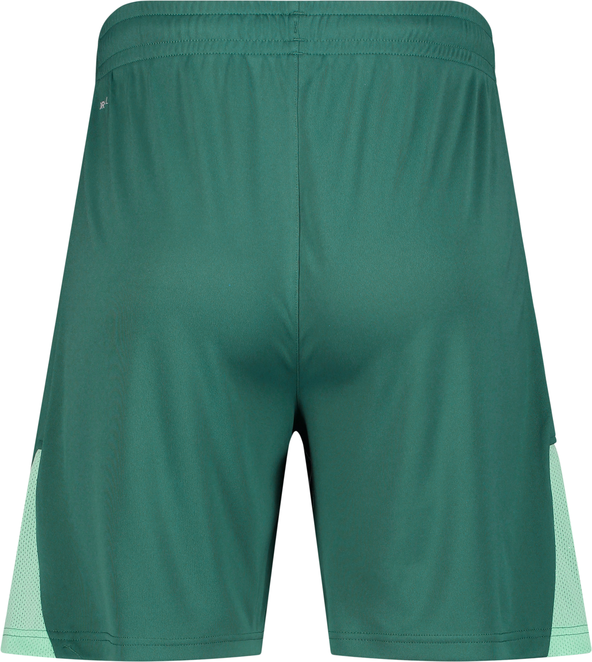 PUMA, TEAMLIGA26 SHORTS