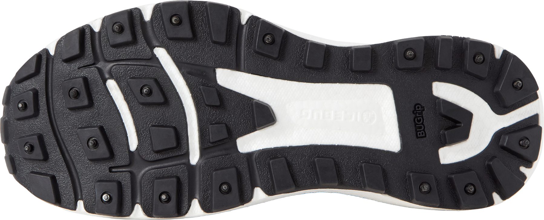 ICEBUG, W Myr Bugrip