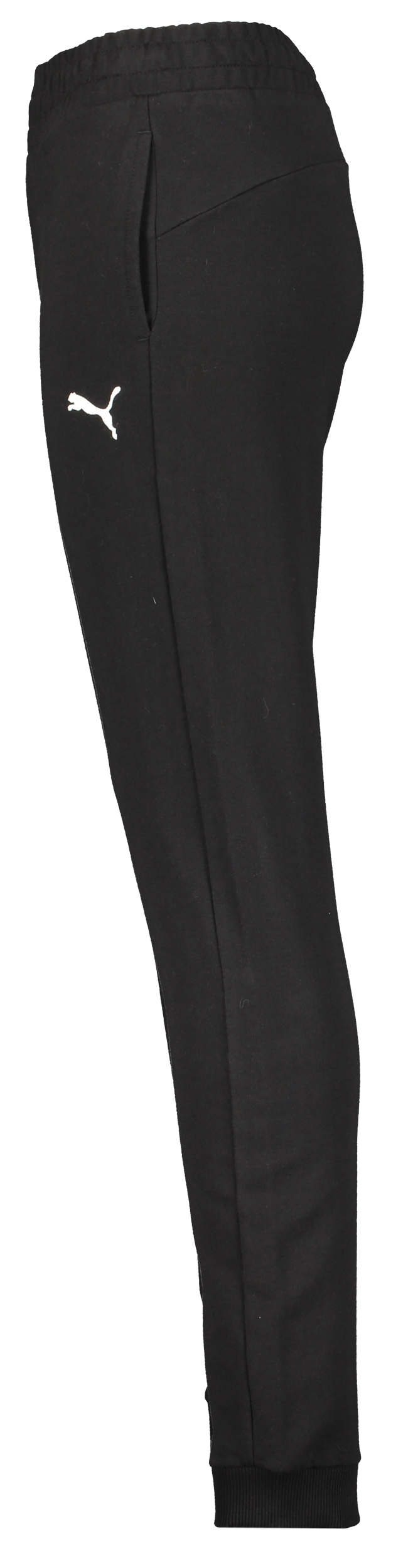 PUMA, Teamgoal Casuals Pants Wmn