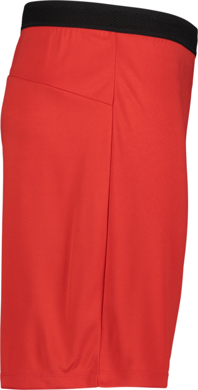 CRAFT, Progress 2.0 Shorts M