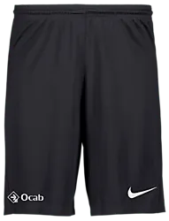 298936101101 NIKE Park III Short 298936101101 NIKE Park III Short Standard Small1x1