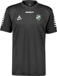325504103101 SELECT Pisa Ss Jsy 325504103101 SELECT Pisa Ss Jsy Standard Small1x1