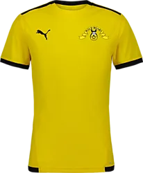 358884107101 PUMA T Liga Ss Jsy 358884107101 PUMA T Liga Ss Jsy Standard Small1x1