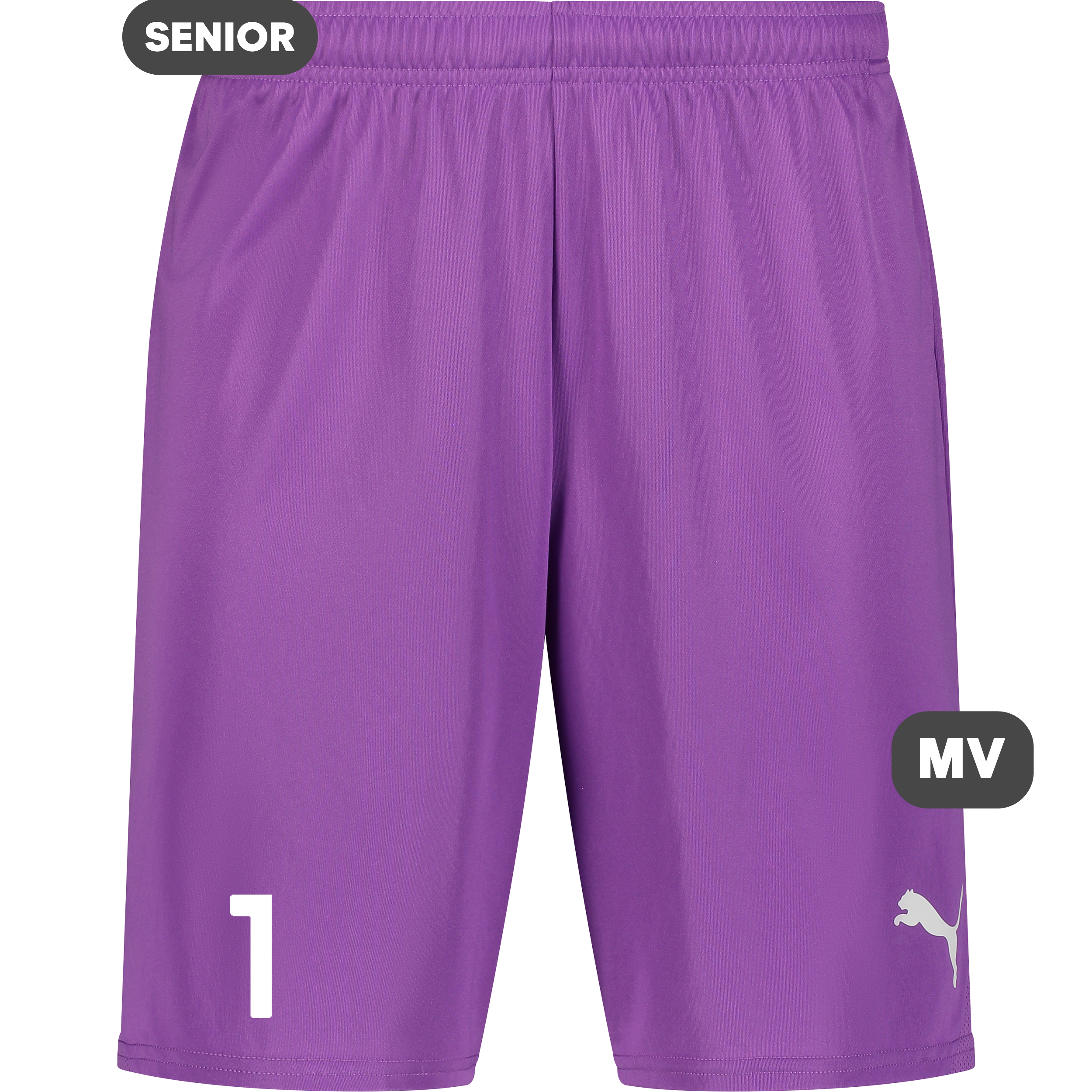 
PUMA, 
T Goal Shorts, 
Detail 1
