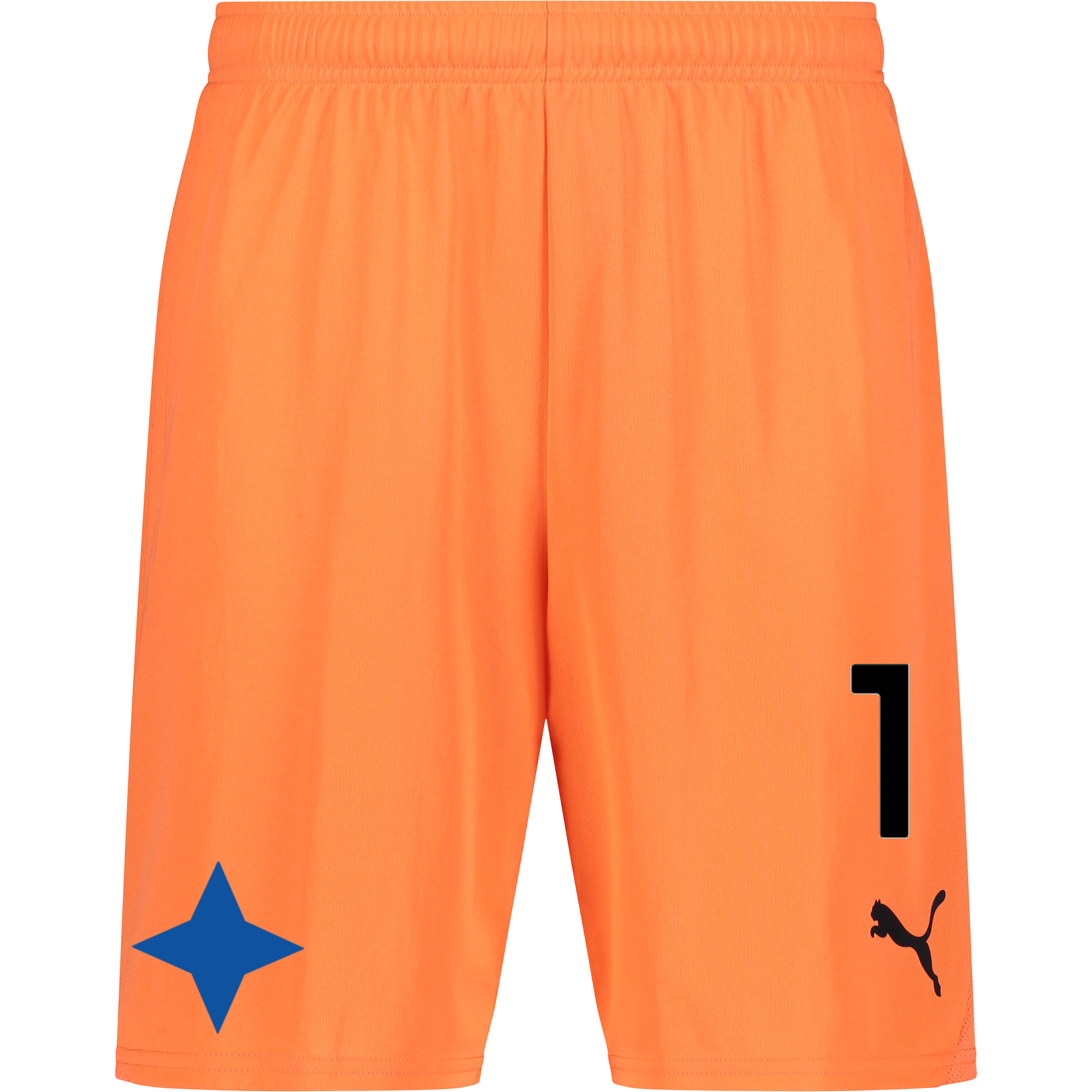 
PUMA, 
T Goal Shorts, 
Detail 1
