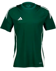 Tiro24 Jsy - Dark Grn/White Standard Small1x1