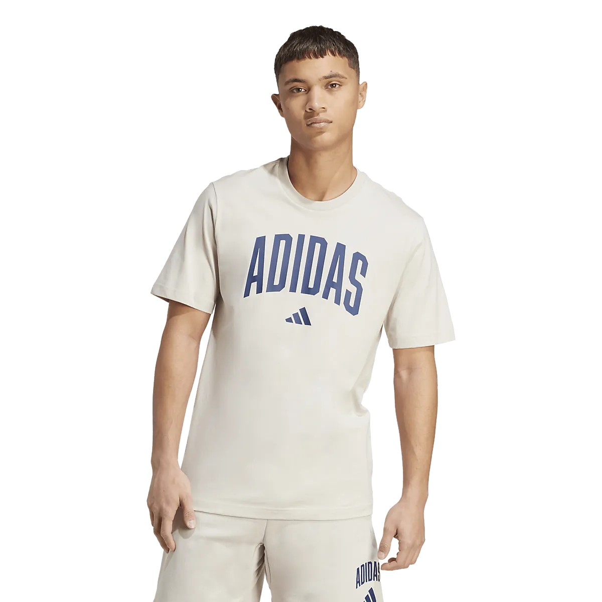 ADIDAS M Collegiate T