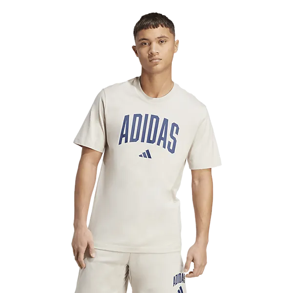 ADIDAS M Collegiate T