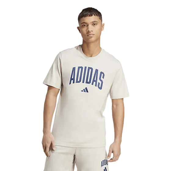 404874101103 ADIDAS M Collegiate T 404874101103 ADIDAS M Collegiate T Model01 Detail