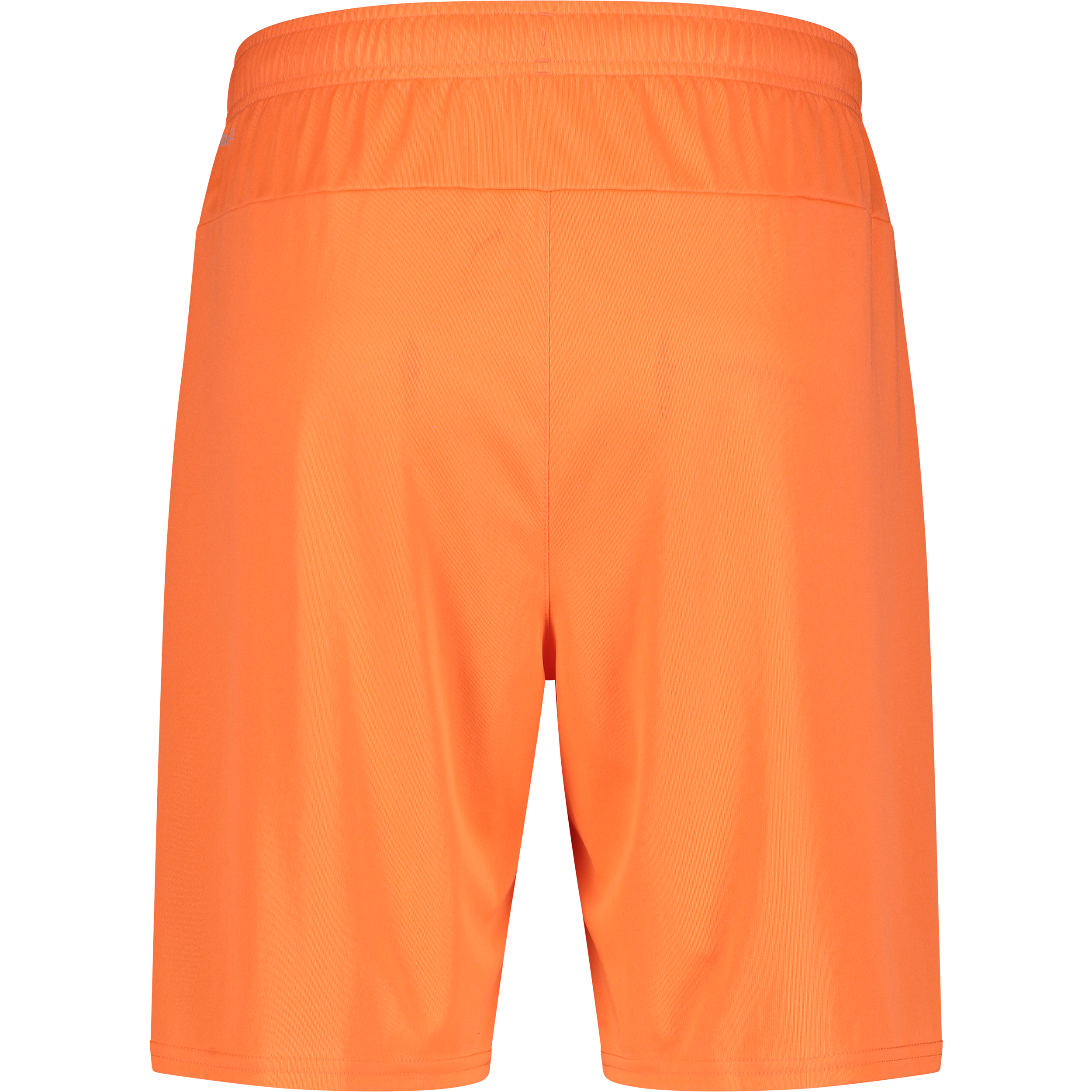 PUMA, T Goal Shorts