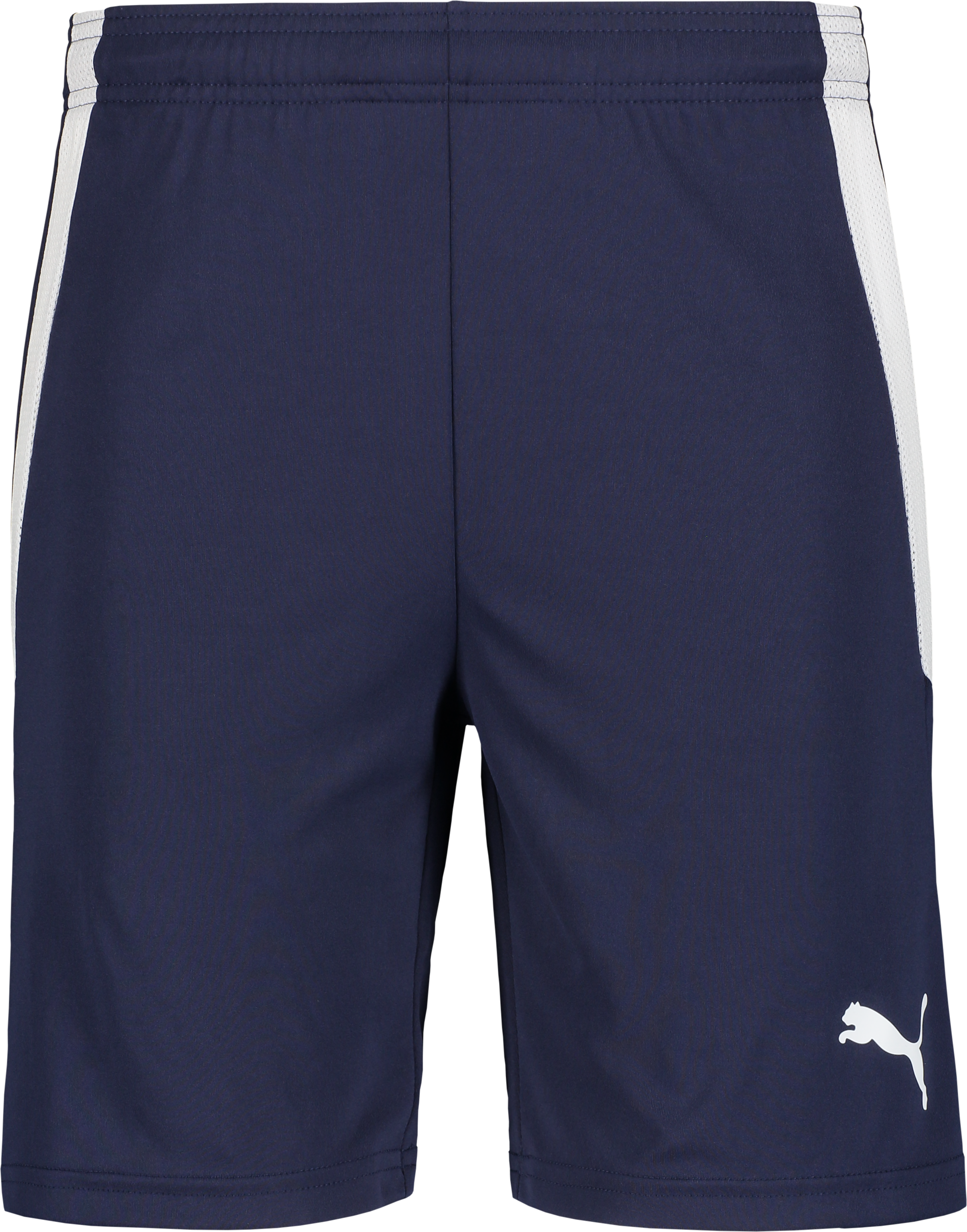 
PUMA, 
T Liga Shorts, 
Detail 1
