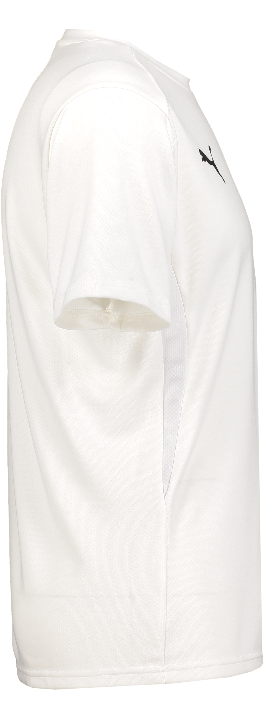 PUMA, T Goal Trg Jsy Jr