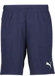 391942106101 PUMA T Goal Shorts 391942106101 PUMA T Goal Shorts Standard Small1x1