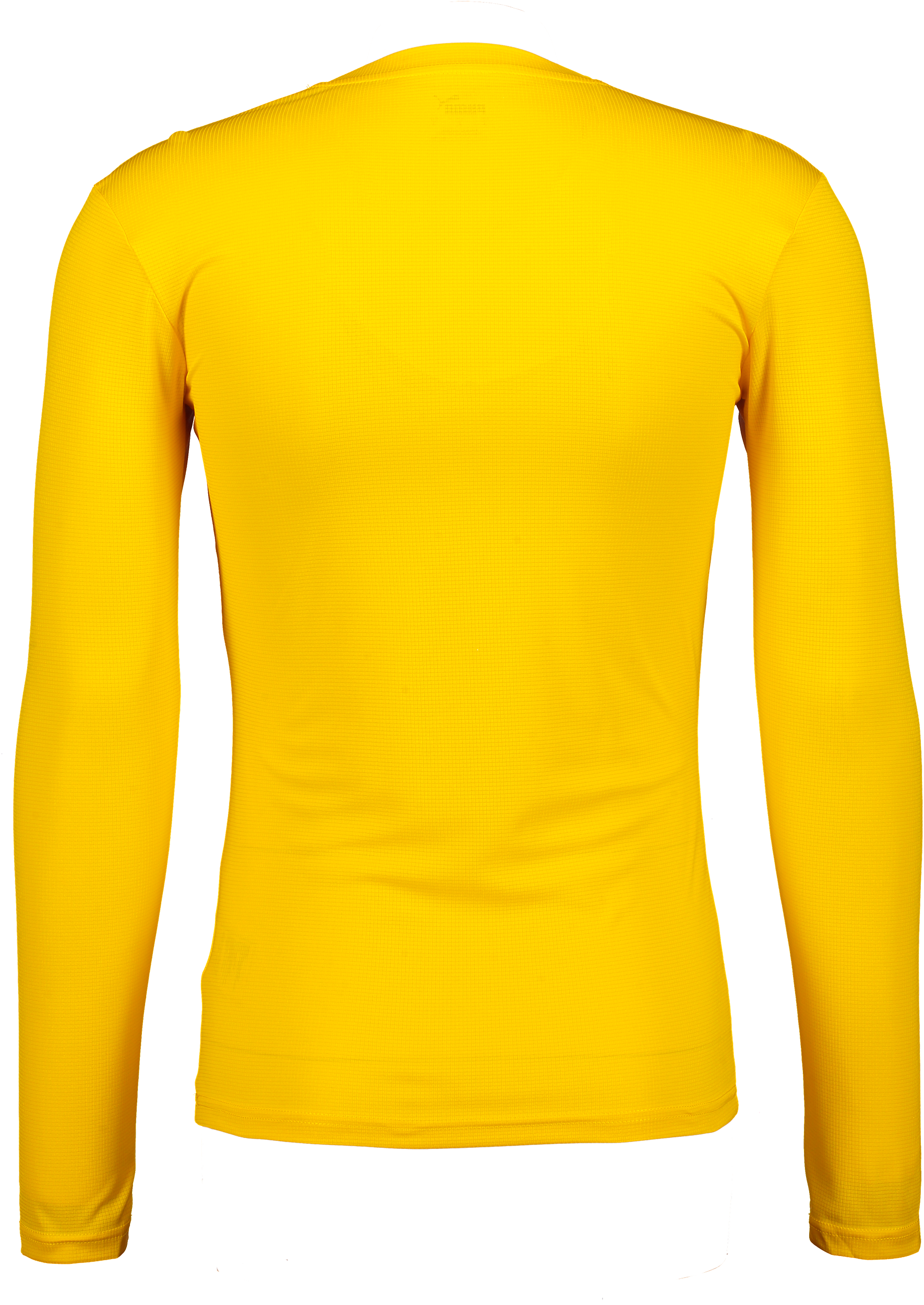 PUMA, T Goal Bl Ls Jsy Jr