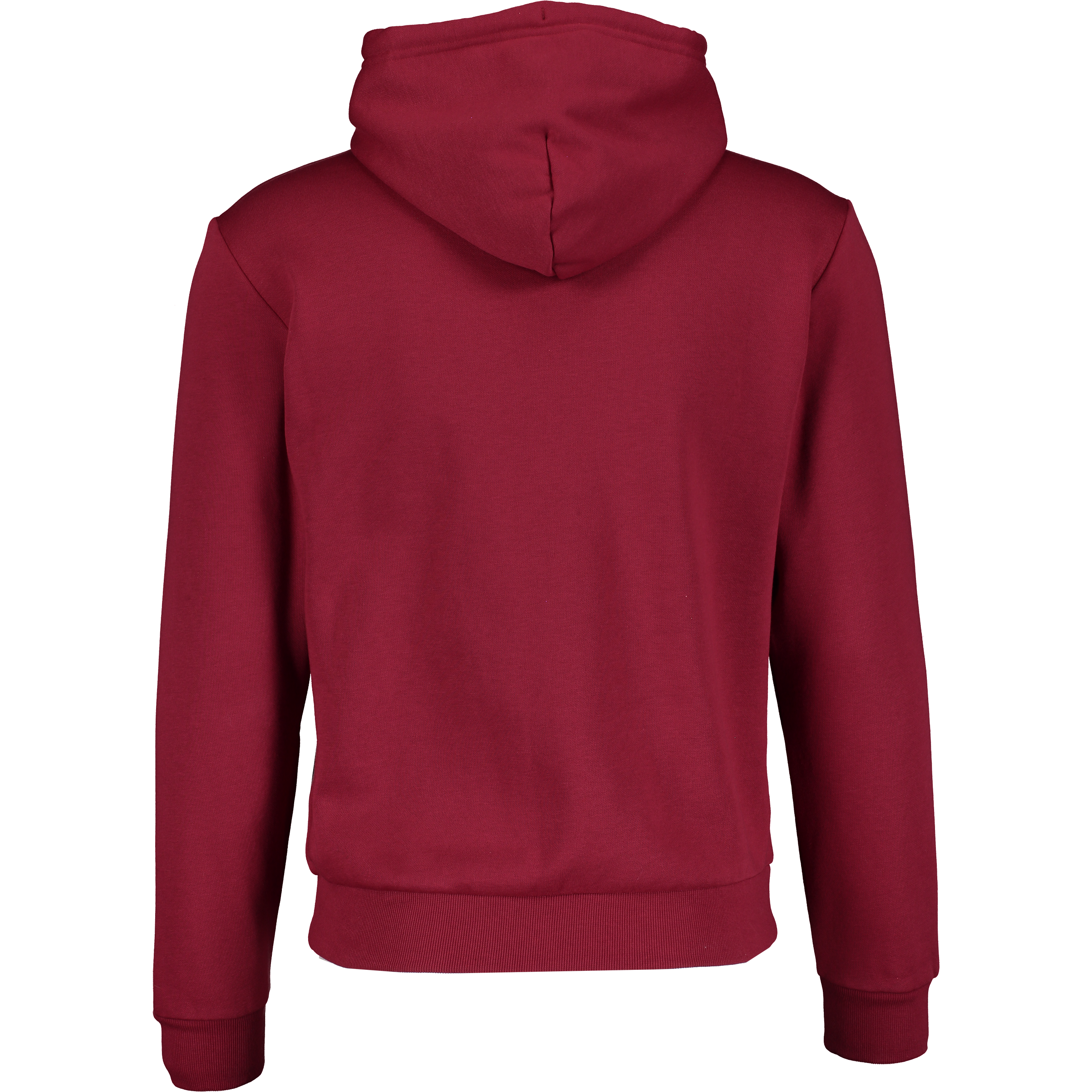 CHAMPION, Hooded Sweatshirt M