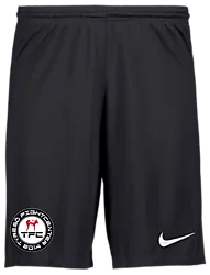 298936101101 NIKE Park III Short 298936101101 NIKE Park III Short Standard Small1x1