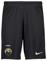 298936101101 NIKE Park III Short 298936101101 NIKE Park III Short Standard Small1x1