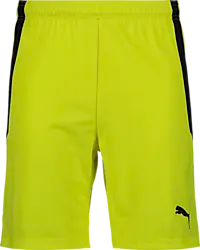 361521107101 PUMA T Liga Shorts Jr 361521107101 PUMA T Liga Shorts Jr Standard Small1x1