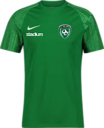 366332105101 NIKE Academy Ss Jsy 366332105101 NIKE Academy Ss Jsy Standard Small1x1