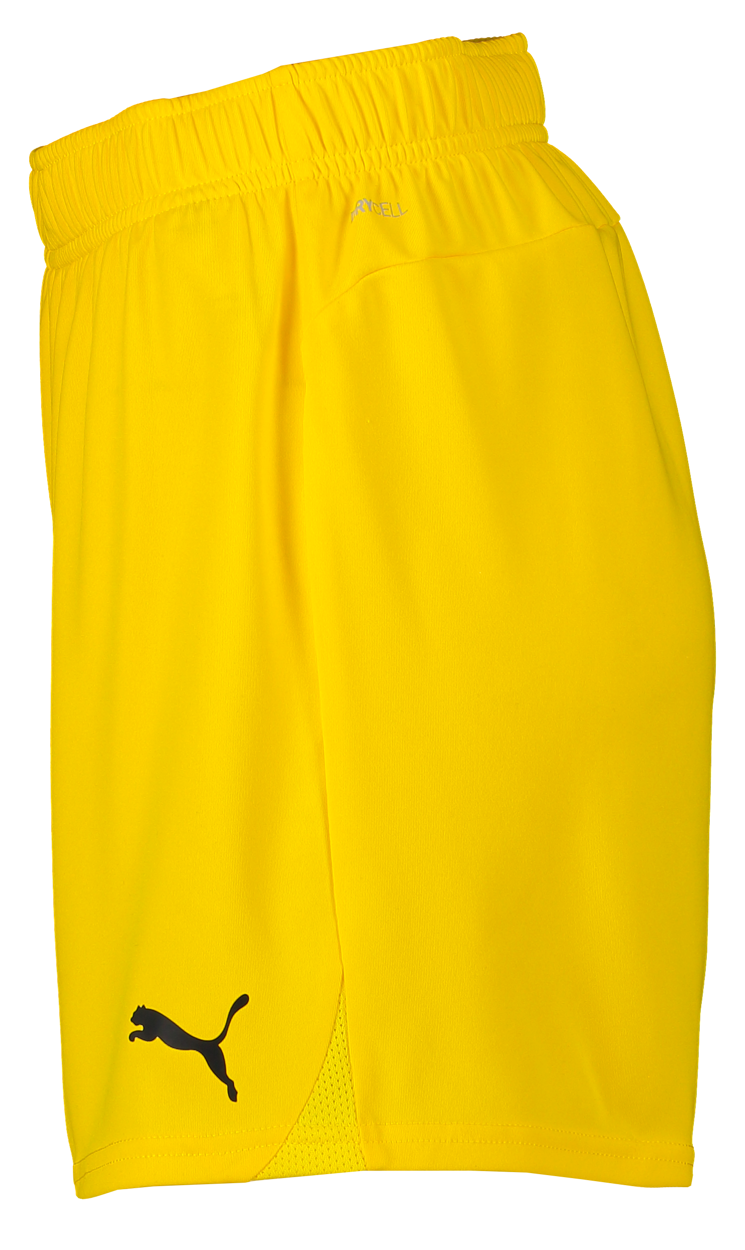 PUMA, T Goal Shorts Wmns