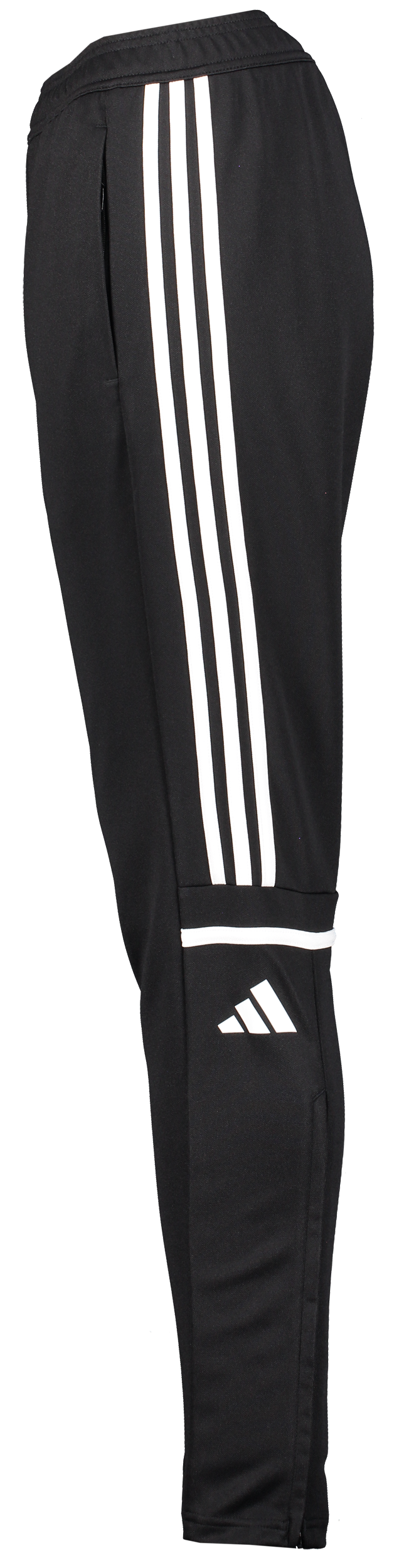 ADIDAS, Squad25 Tr Pnt W