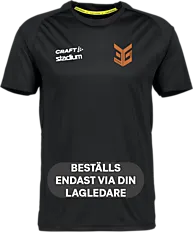 321481107101 CRAFT Evolve Tee 321481107101 CRAFT Evolve Tee Standard Small1x1
