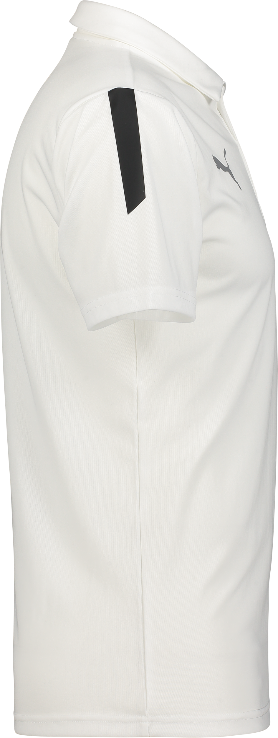 PUMA, T Liga Sideline Polo