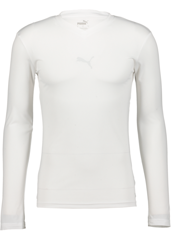 
PUMA, 
T Goal Bl Ls Jsy, 
Detail 1

