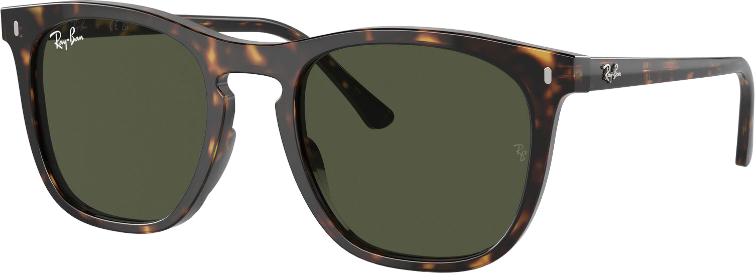 
RAY-BAN, 
RB2210, 
Detail 1

