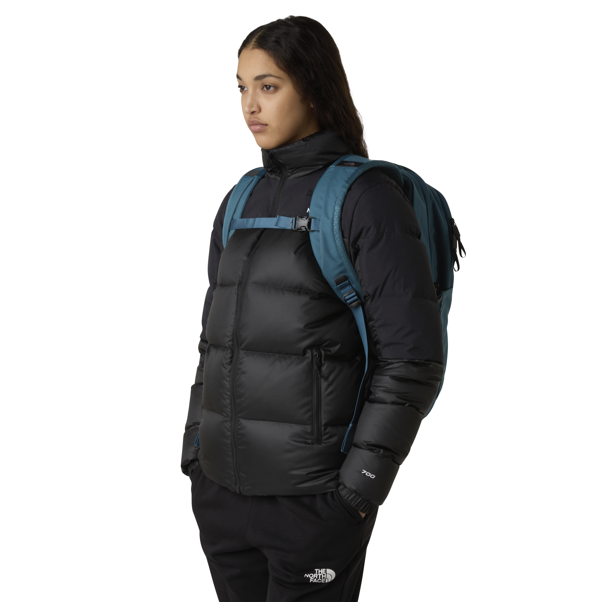 THE NORTH FACE, Vault Backpack