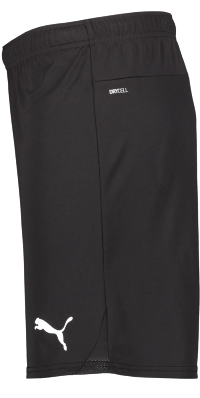PUMA, T Goal Shorts Jr