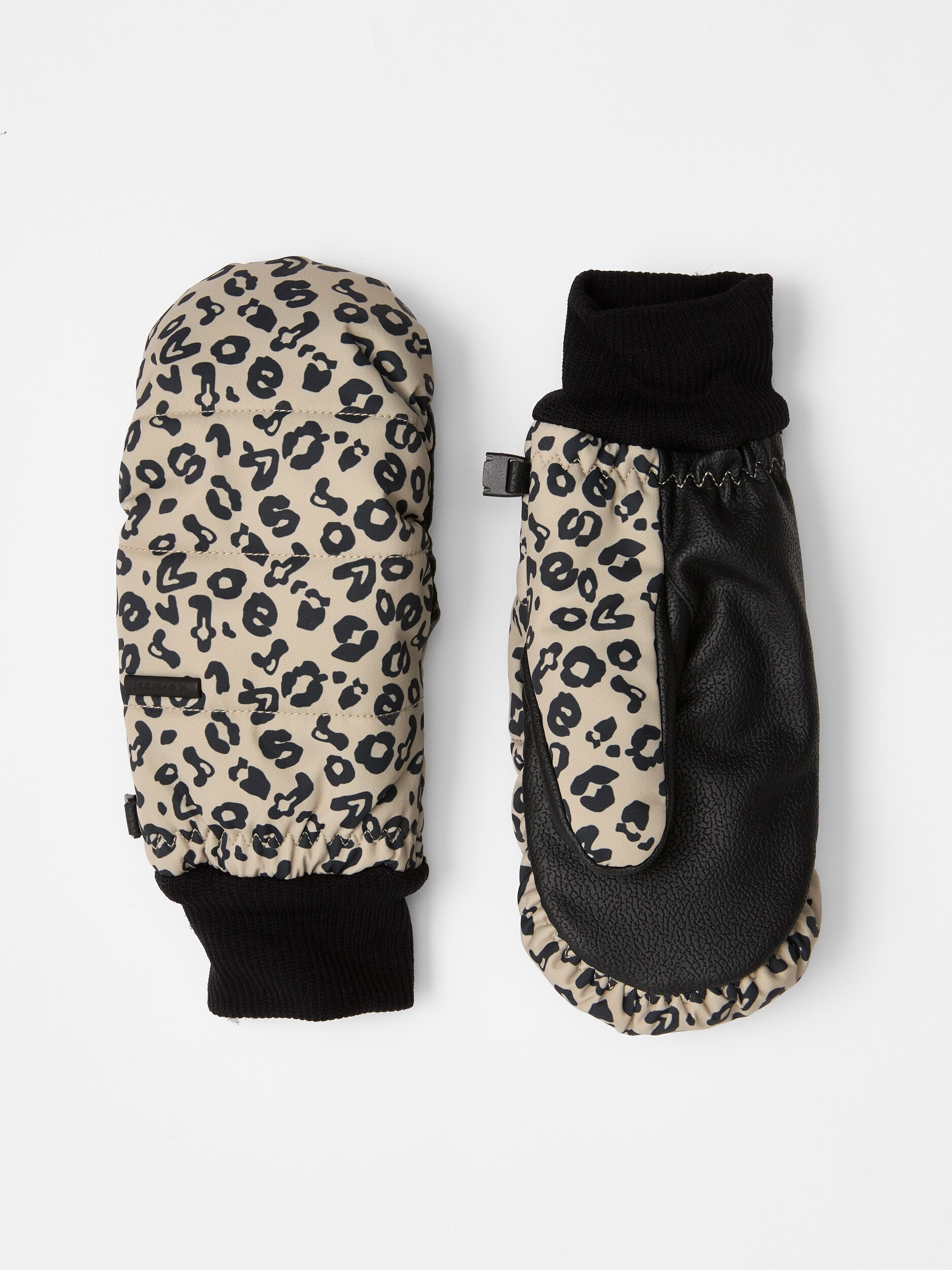 
EVEREST, 
J Kabru Mitten, 
Detail 1
