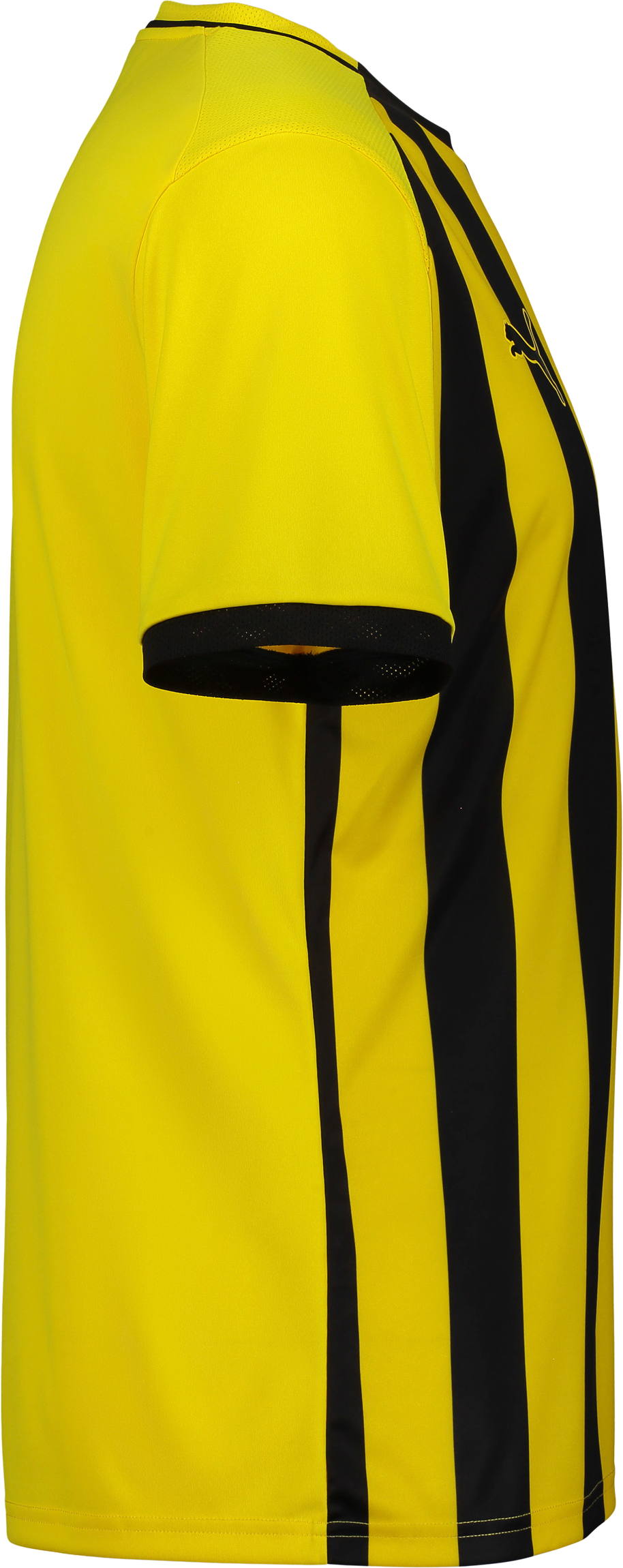 PUMA, LIGA26 STRIPED JSY JR