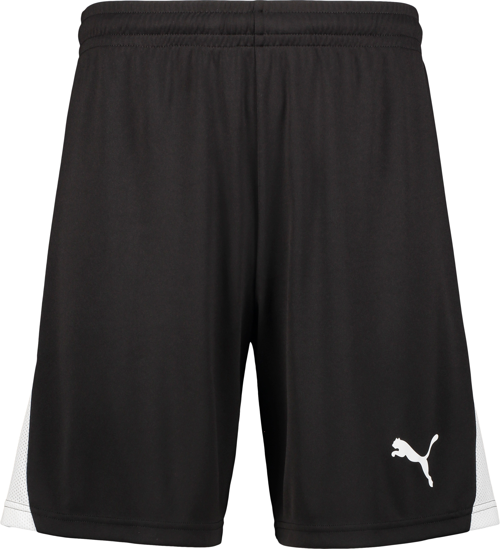 
PUMA, 
TEAMLIGA26 SHORTS JR, 
Detail 1
