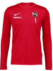 311152107101 NIKE Park VII LS Jsy 311152107101 NIKE Park VII LS Jsy Standard Small1x1