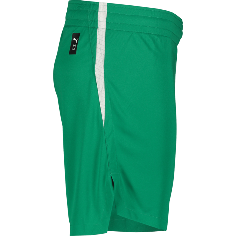 PUMA, TEAMJAWS STARTER SHORTS