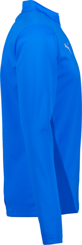 PUMA, T Goal 1/4 Zip