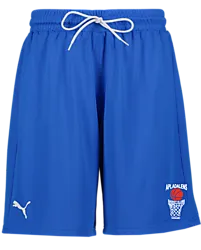 387570105101 PUMA Hoops Team Practice Short 387570105101 PUMA Hoops Team Practice Short Standard Small1x1