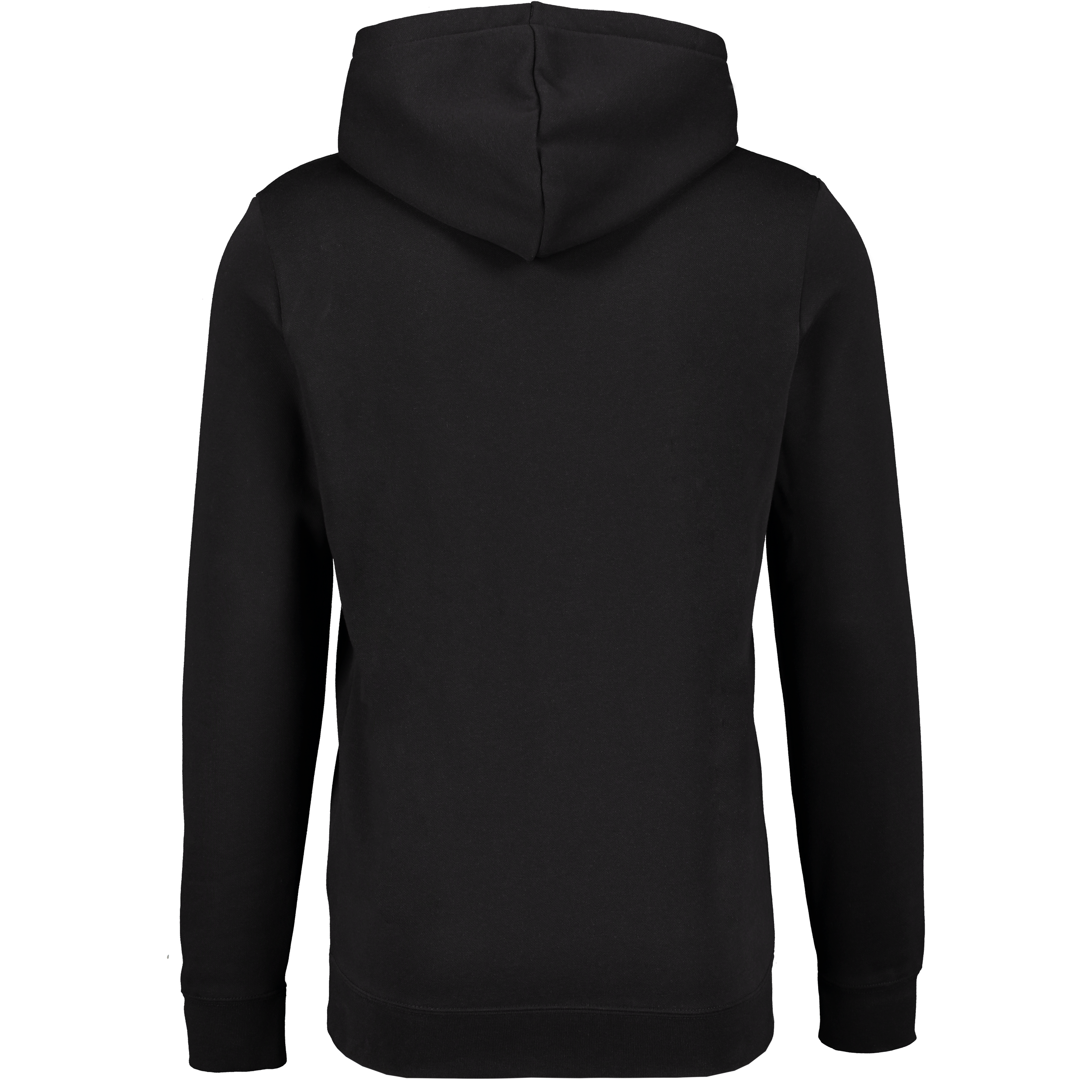 PUMA, Mass Merchants Hoodie Fl