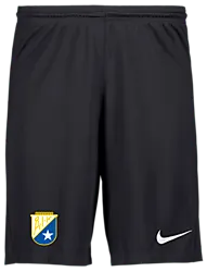 298936101101 NIKE Park III Short 298936101101 NIKE Park III Short Standard Small1x1
