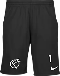 323389101101 NIKE Park20 Short 323389101101 NIKE Park20 Short Standard Small1x1