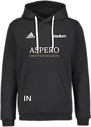 358922101101 ADIDAS Ent22 Hoody 358922101101 ADIDAS Ent22 Hoody Standard Small1x1