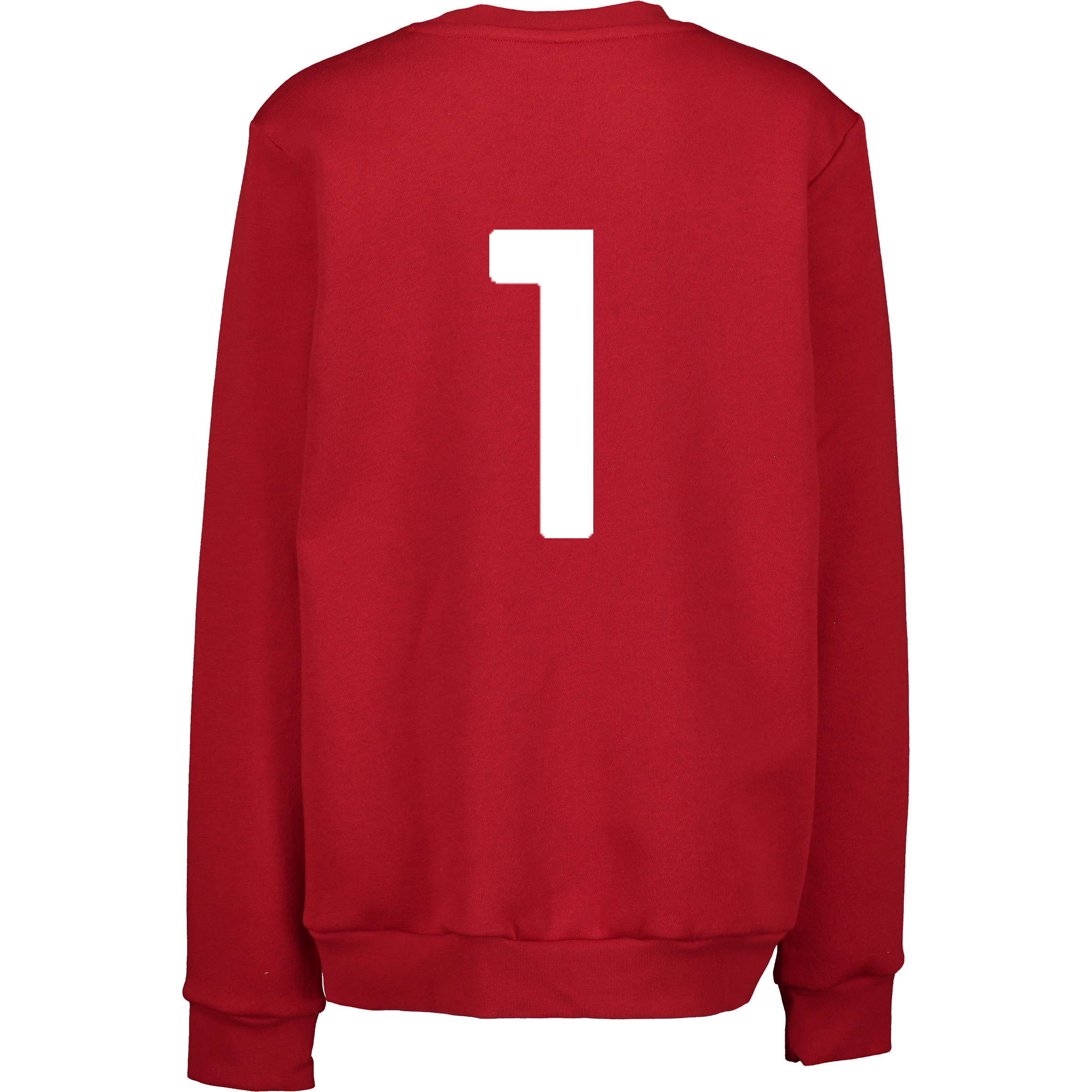 ADIDAS, ENT26 SW TOP JR