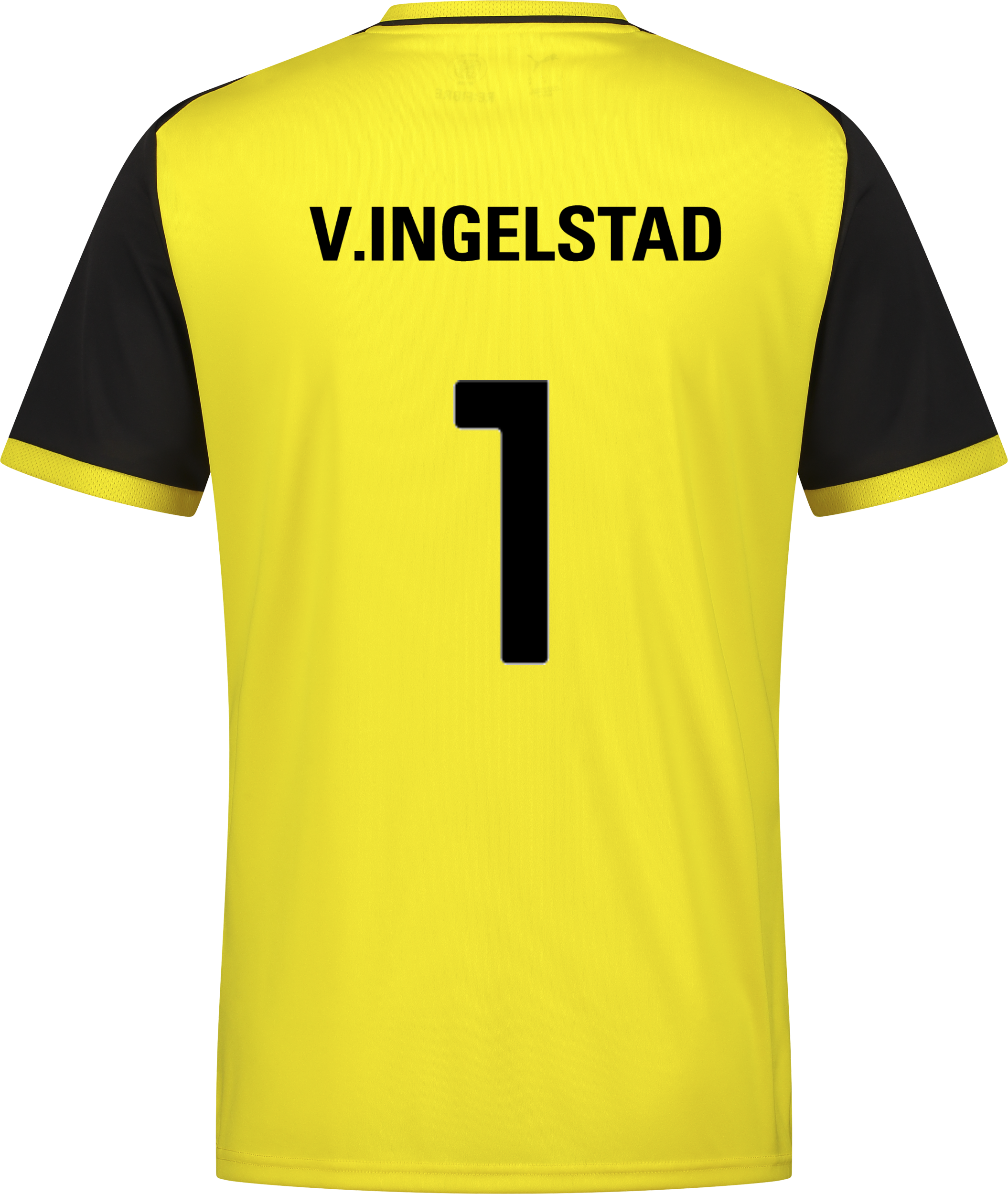PUMA, TEAMLIGA26 MATCHDAY JERSEY JR