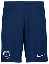 298936106101 NIKE Park III Short 298936106101 NIKE Park III Short Standard Small1x1