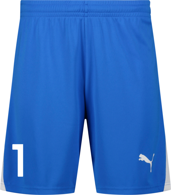 
PUMA, 
TEAMLIGA26 SHORTS, 
Detail 1
